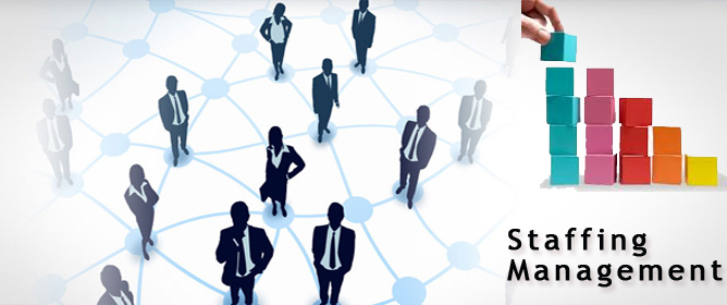 SEO Consulting